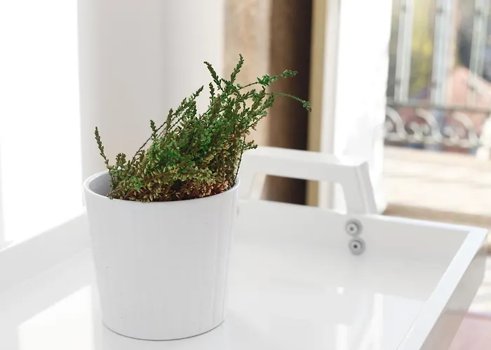 아파트 Belly Angel - Historic Center