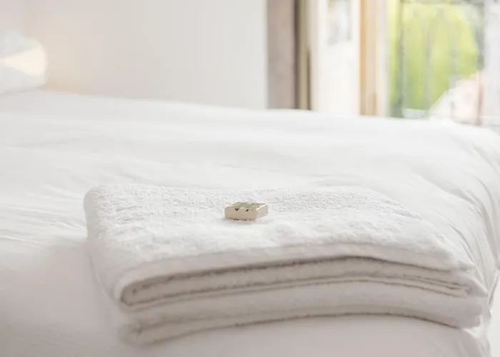 Belly Angel - Historic Center *